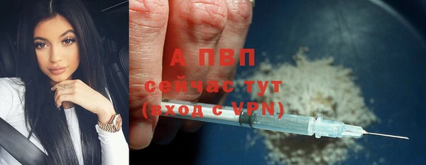 хмурый Нефтекумск