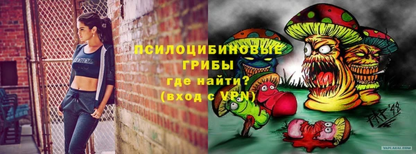 мескалин Надым
