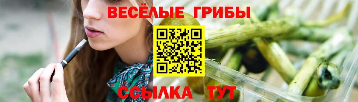 Псилоцибиновые грибы MAGIC MUSHROOMS  Вход с VPN  Люберцы 